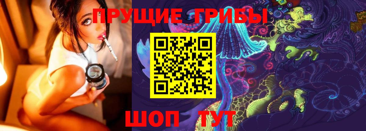 Лянтор  Псилоцибиновые грибы Psilocybine cubensis  Вход с VPN 